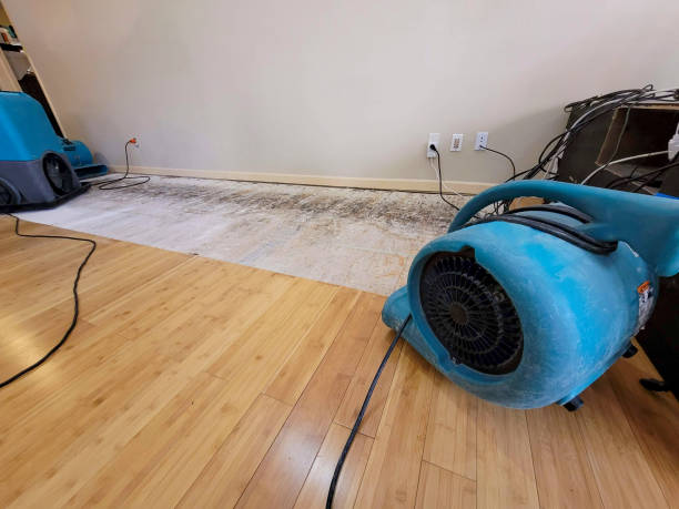 Professional Sewage Cleanup technician working in Dakota City, NE